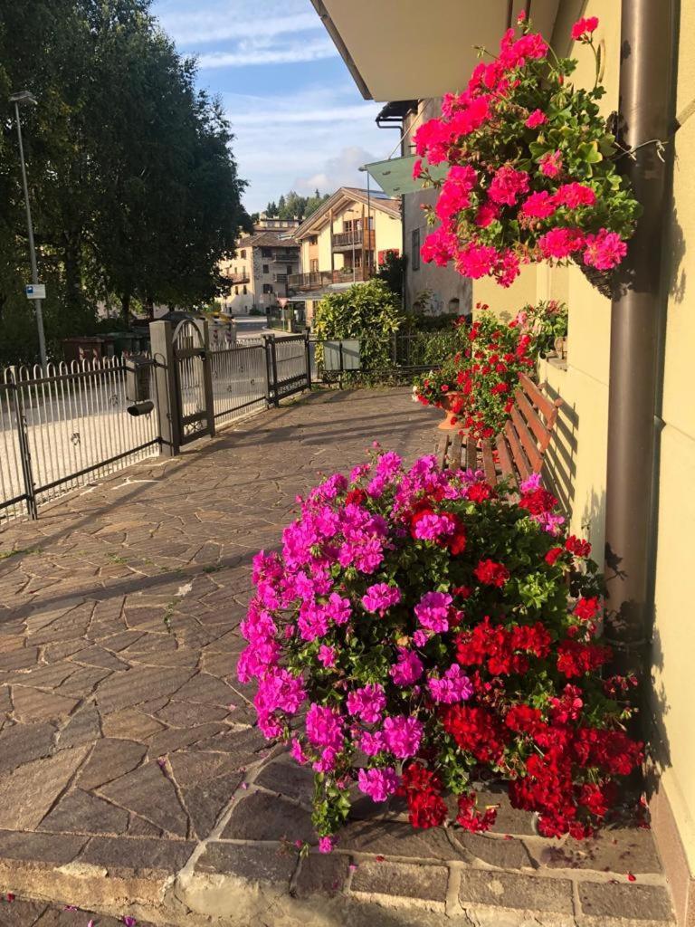 Appartamento Luminoso, Giardino, Vista Dolomiti. Baselga di Pinè Dış mekan fotoğraf