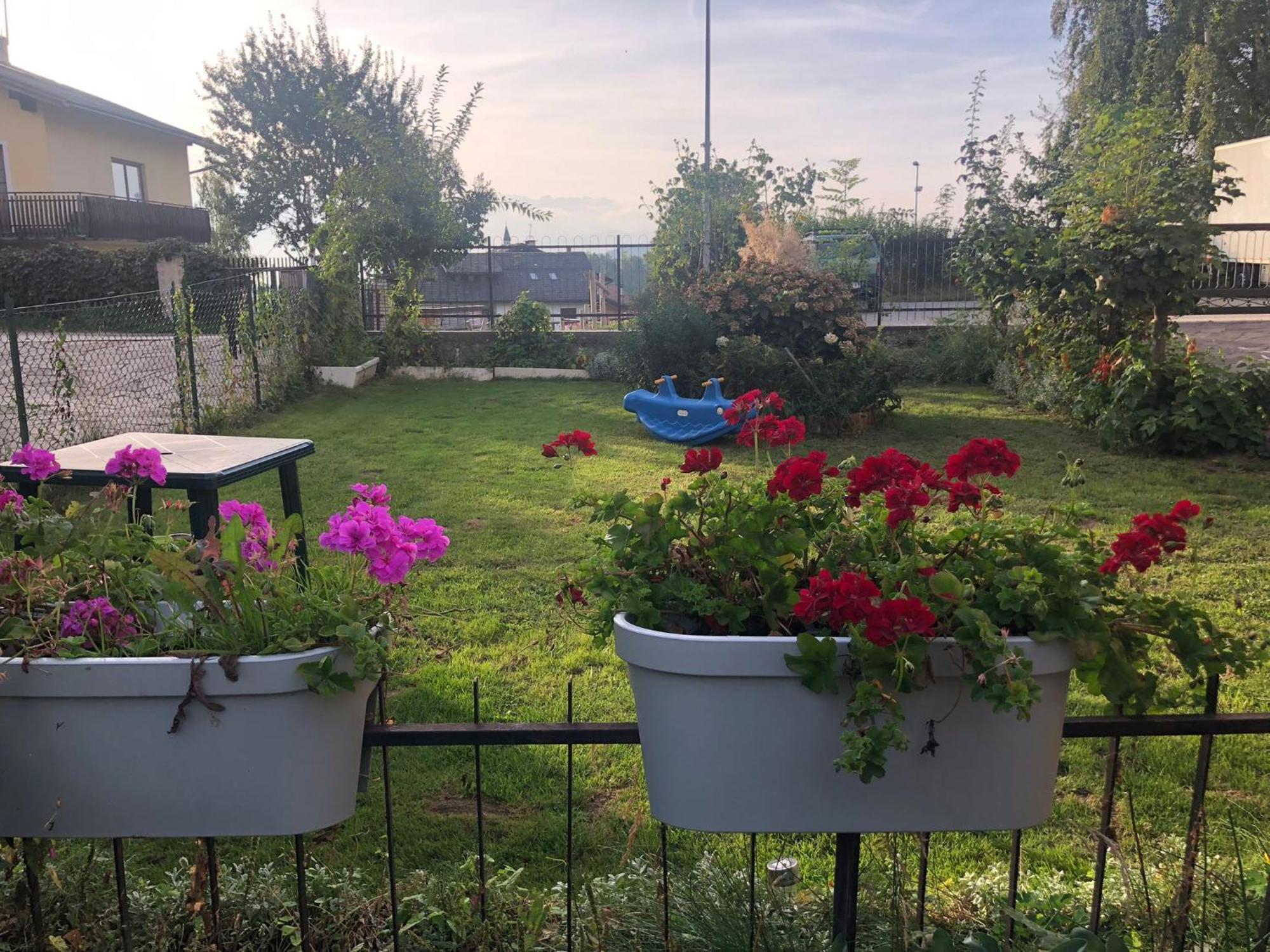 Appartamento Luminoso, Giardino, Vista Dolomiti. Baselga di Pinè Dış mekan fotoğraf